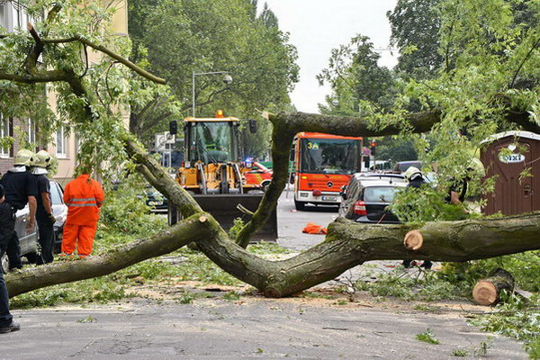Feuerwehr_Baum   010.jpg